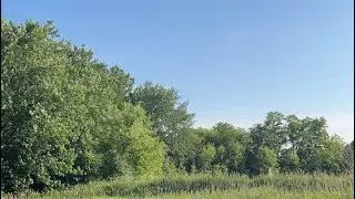 Untitled video