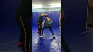 Проход , защита , бросок, подхват.( Вольная борьба приемы)