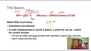 Energy/Trophic Calculation Notes - Part 1