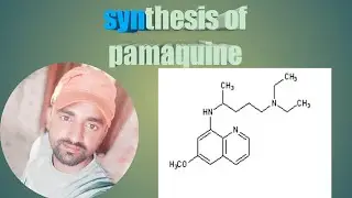 Synthesis of pamaquine