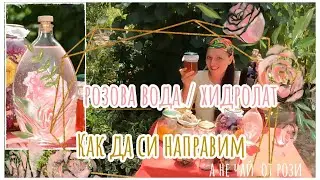 Флорална вода от рози у дома, стъпка по стъпка, как да си направим розова вода с максимум резултат.