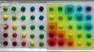 넋 놓게 보게되는 기분좋아지는 영상 #10 satisfying video