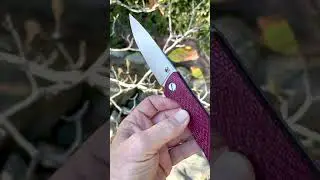 Shirogorov  DARK CHERRY Alutex HATI R