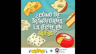¿Cómo se transforma la leche en queso?