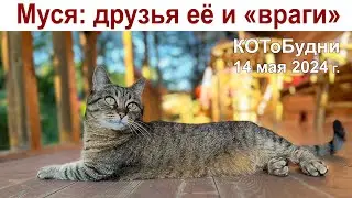 Жизнь наша и Муси... Сегодня Радоница - вспоминаем наших родных и близких...