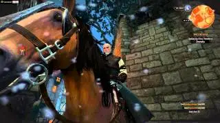 The Witcher 3 : Wild Hunt / bug / Glitch /