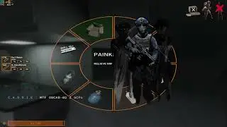 dL testing montage