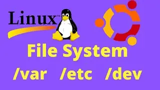05 Linux File System/Structure Explained! Urdu/Hindi