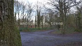 Amongst the Trees (2022)