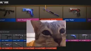 На по играй котик я ща приду 🧐 тем временем котик: