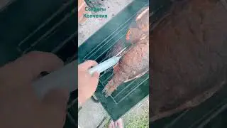 Секреты копчения. Как быстро без подготовки закоптить свежую рыбу. #fishing #рыбалка#копчение