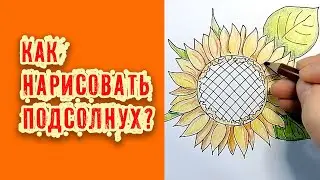 Как нарисовать подсолнух карандашами | How to draw a sunflower with pencils