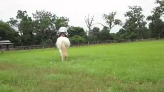 Jeffrey training 4-17-15