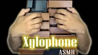 *ASMR* XYLOPHONE | tapping + scratching | Percussive Sounds ASMR