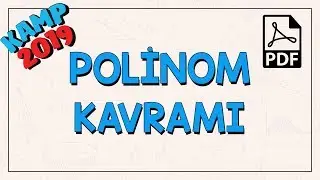 Polinom Kavramı