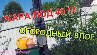 ЖАРА ПОД 40/БУДЕМ БЕЗ ОГУРЦОВ/КАРТОШКА НАШИМ СПОСОБОМ/ЯГОДЫ БУДЕ МНОГО