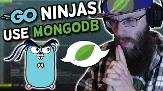 Only REAL Go Ninjas Use MongoDB | #feurious