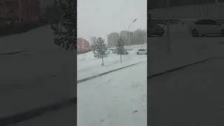 2023 оны 2-р сарын 25
