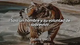 Survivor - Eye Of The Tiger // Letra Español