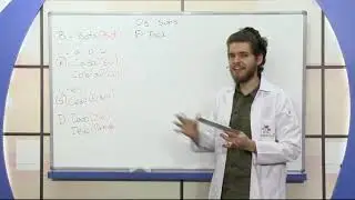 Teknomektep Portekizce Eğitim Seti (O Alphabeto/Alfabe)