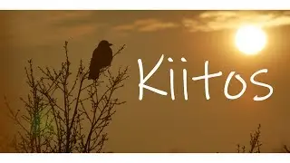 KIITOS-elokuva