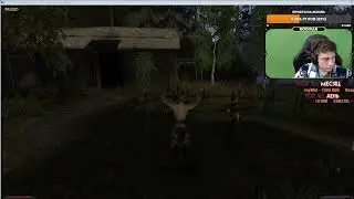 GOTHIC 2 Прохождение Игры на Русском ► ГОТИКА 2 Прохождение | GOTHIC II ВОЗВРАЩЕНИЕ | СТРИМ