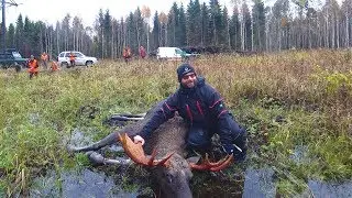 Охота 