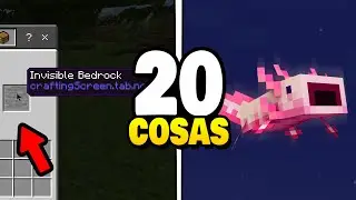 👉20 Cosas Que NO Sabias de Minecraft 2022 - Vandel