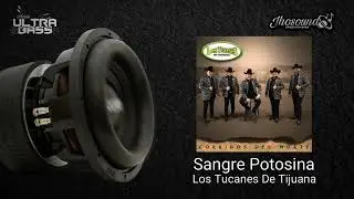 Sangre Potosina (Epicenter) - Los Tucanes De Tijuana