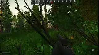 Head, eyes isn't enough