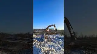 Расчистка лесоповал -Мульчер -Лесовоз-эксковатор