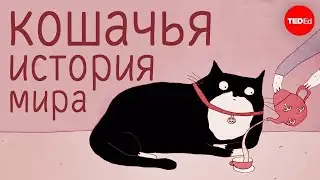Кошачья история мира - Eva-Maria Geigl