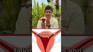 From Ovary to Uterus | Fallopian Tubes Journey to Pregnancy | Mamata Fertility Hospital: Hyderabad