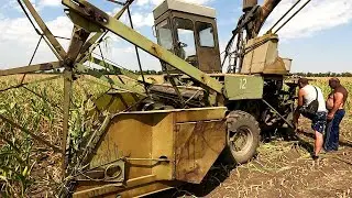 Уборка кукурузы на силос стартовала! Но не так все просто, как показалось!