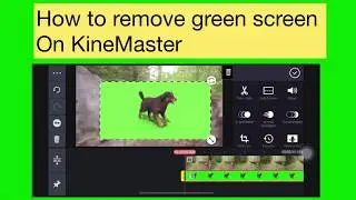 How to remove green screen in kinemaster!