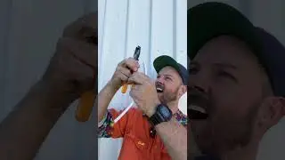 Lost electrical pliers