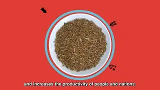 What is Food Fortification?
