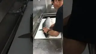 Ted Cuts the Head Off of Today's Salmon