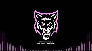 New Desktop - Wolf Cyan Reactive Bass Rainbow