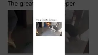 The greatest goalkeeper😎