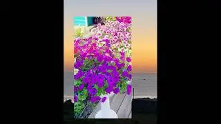 ПЕЧАЛИ СВЕТ ИЗ ЛАБИРИНТОВ ПАМЯТИ