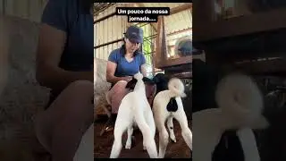 Uma parte da nossa jornada