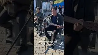 cevizin yaprağı dal arasında