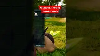PALWORLD 