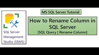 How to Rename Column in  SQL Table |  MS SQL Server | [SQL Rename Column]