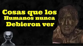 Cosas Que Los Humanos Nunca Debieron Ver | Especial Parte 100