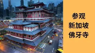参观新加坡佛牙寺，夜里逛牛车水