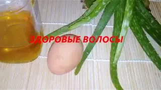 #aloevera #gotovim #honey ОТЛИЧНАЯ маска для волос алоэ.яйцо ,мёд.