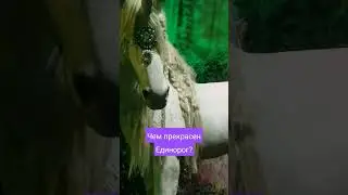 Кто такой единорог? 