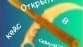 Открытие в кейс симуляторе